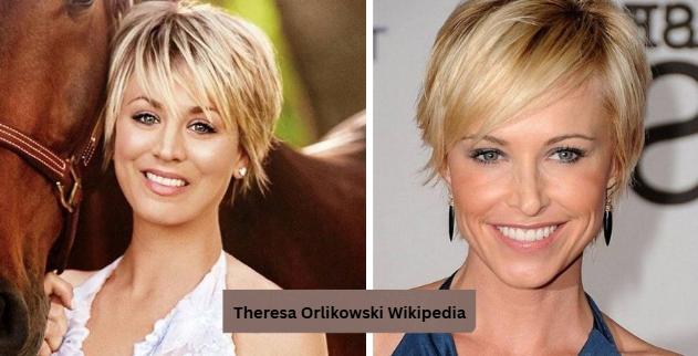 theresa orlikowski wikipedia